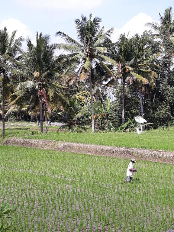 Umah Dangin * Ubud