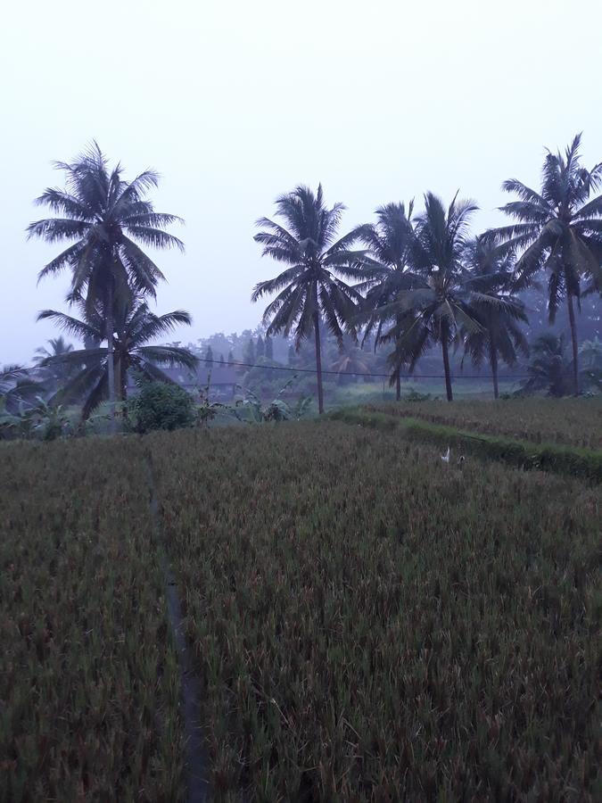 Umah Dangin *